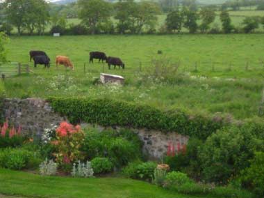 Preston Farm House Views